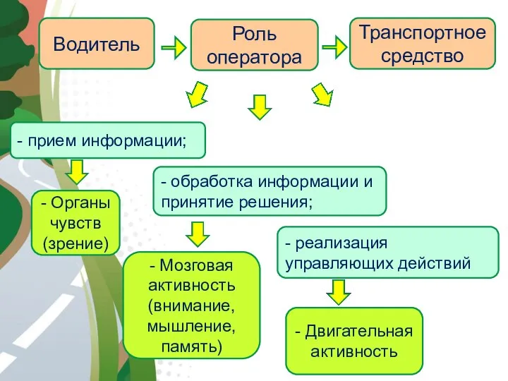 АВТОМАГИСТРАЛЬ Водитель Роль оператора Транспортное средство - прием информации; - обработка информации