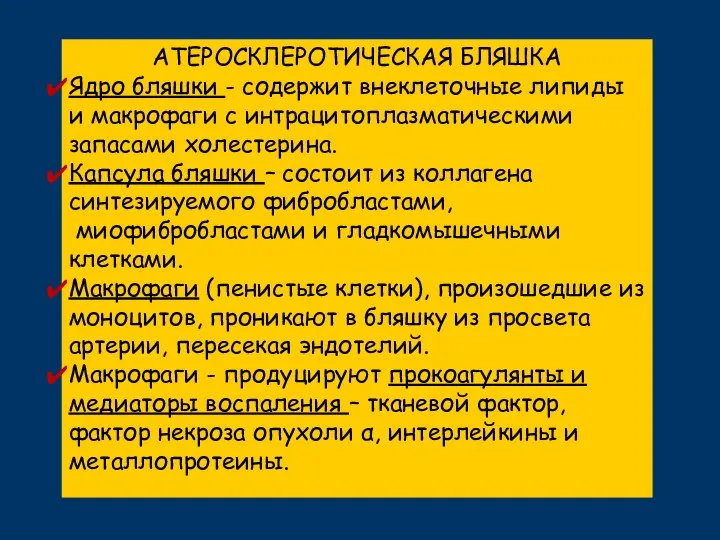 АТЕРОСКЛЕРОТИЧЕСКАЯ БЛЯШКА Ядро бляшки - содержит внеклеточные липиды и макрофаги с интрацитоплазматическими