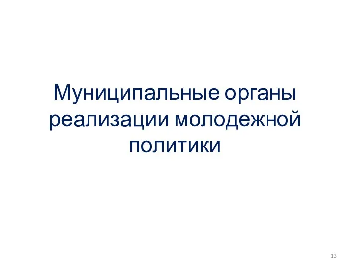 Муниципальные органы реализации молодежной политики