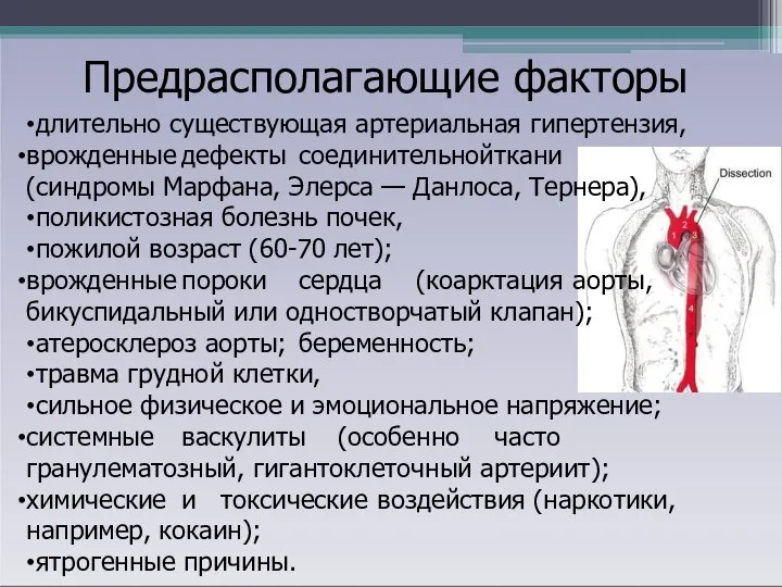 Предрасполагающие факторы длительно существующая артериальная гипертензия, врожденные дефекты соединительной ткани (синдромы Марфана,