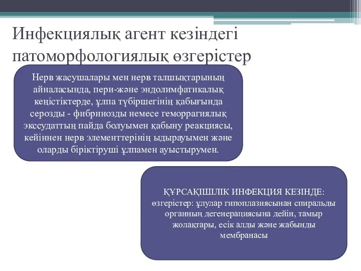 Инфекциялық агент кезіндегі патоморфологиялық өзгерістер Нерв жасушалары мен нерв талшықтарының айналасында, пери-және