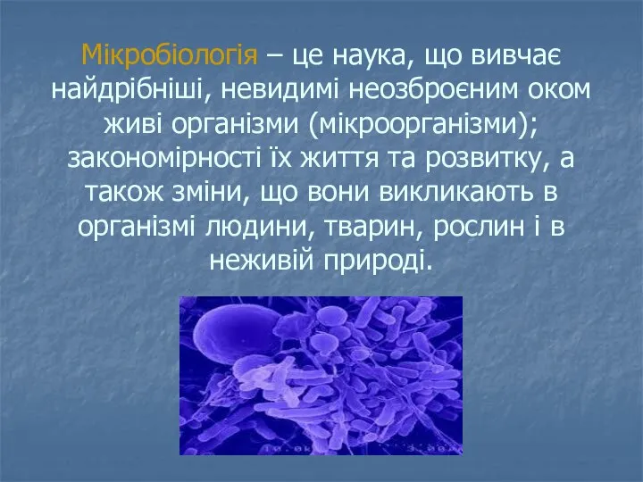Мікробіологія – це наука, що вивчає найдрібніші, невидимі неозброєним оком живі організми