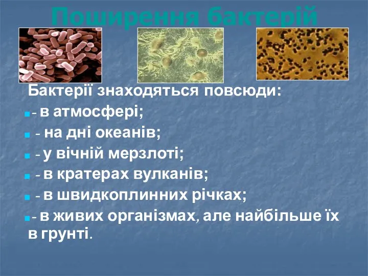 Поширення бактерій Бактерії знаходяться повсюди: - в атмосфері; - на дні океанів;