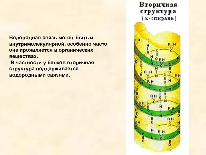 Водородная связь может быть и внутримолекулярной, особенно часто она проявляется в органических