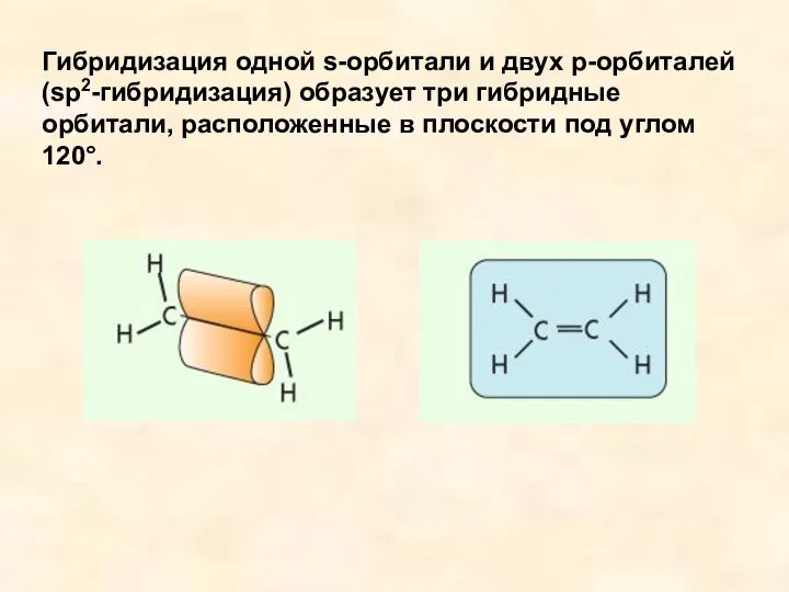 Гибридизация одной s-орбитали и двух р-орбиталей (sp2-гибридизация) образует три гибридные орбитали, расположенные