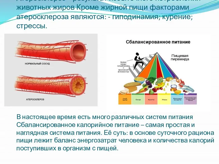 Атеросклероз – результат избыточного потребления животных жиров Кроме жирной пищи факторами атеросклероза