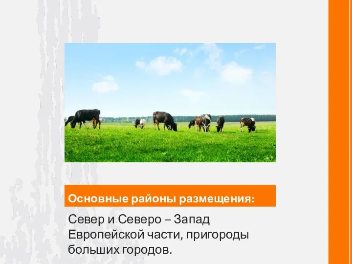 Основные районы размещения: Север и Северо – Запад Европейской части, пригороды больших городов.