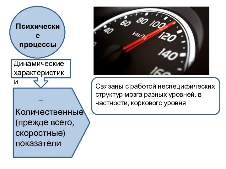 Психические процессы Динамические характеристики = Количественные (прежде всего, скоростные) показатели Связаны с