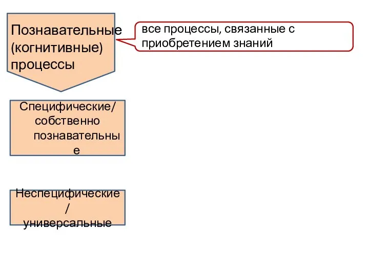 Познавательные (когнитивные) процессы все процессы, связанные с приобретением знаний Специфические/ собственно познавательные Неспецифические/ универсальные