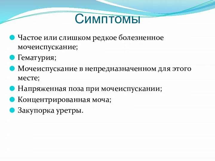 Частое болезненное мочеиспускание это. Болезненное мочеиспускание.