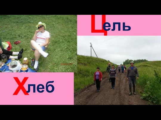 Ц Х ель леб