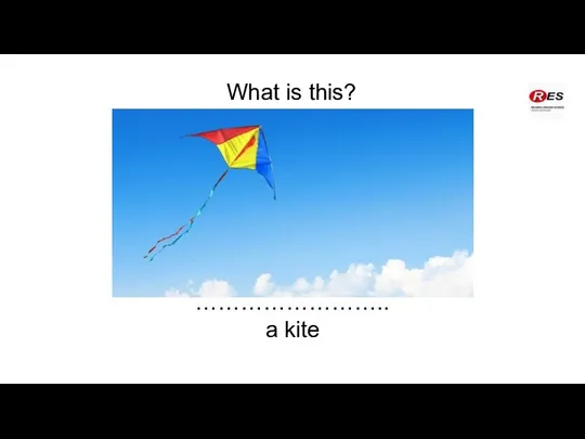 What is this? …………………….. a kite