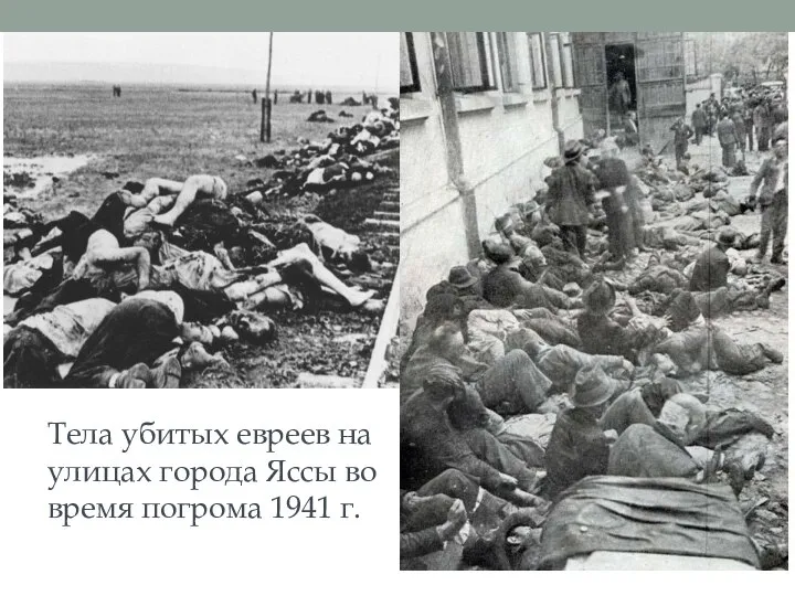 Тела убитых евреев на улицах города Яссы во время погрома 1941 г.