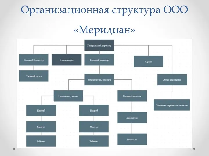 Организационная структура ООО «Меридиан»