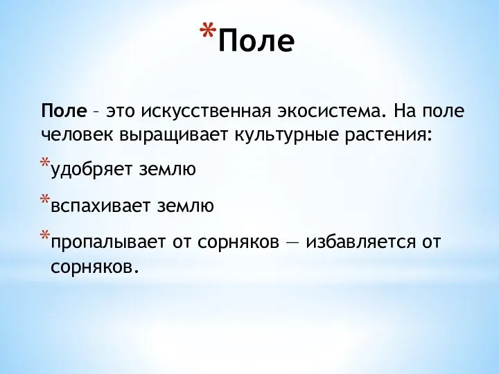 Поле Поле – это искусственная экосистема. На поле человек выращивает культурные растения: