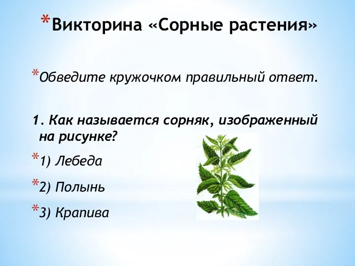 Викторина «Сорные растения» Обведите кружочком правильный ответ. 1. Как называется сорняк, изображенный