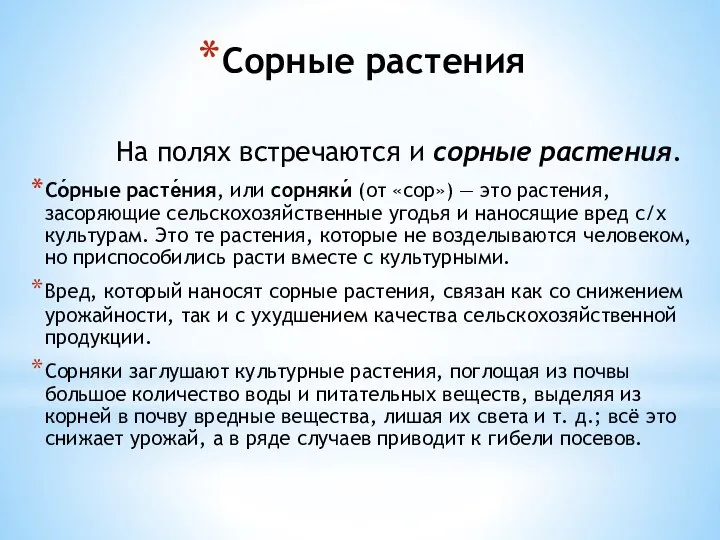 Сорные растения На полях встречаются и сорные растения. Со́рные расте́ния, или сорняки́