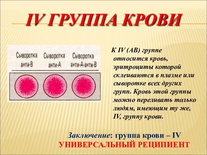 IV ГРУППА КРОВИ К IV (АВ) группе относится кровь, эритроциты которой склеиваются