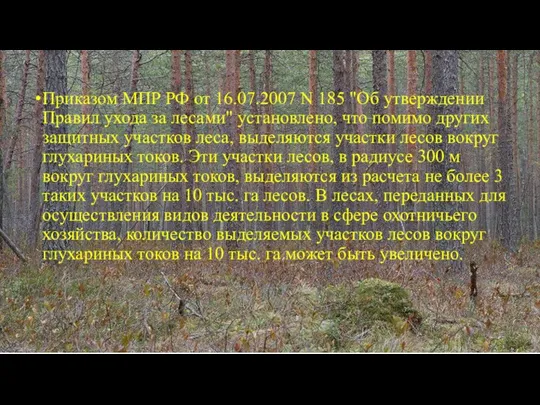 Приказом МПР РФ от 16.07.2007 N 185 "Об утверждении Правил ухода за