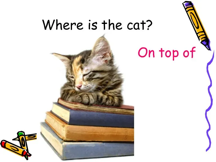 Where is the cat? On top of