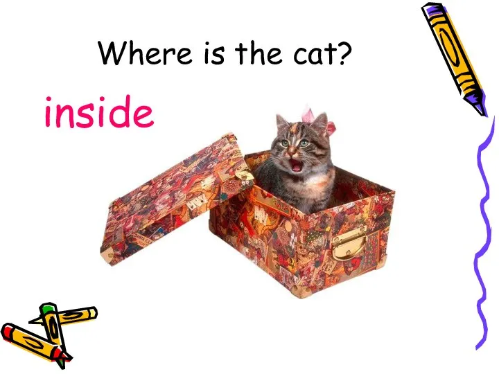 Where is the cat? inside
