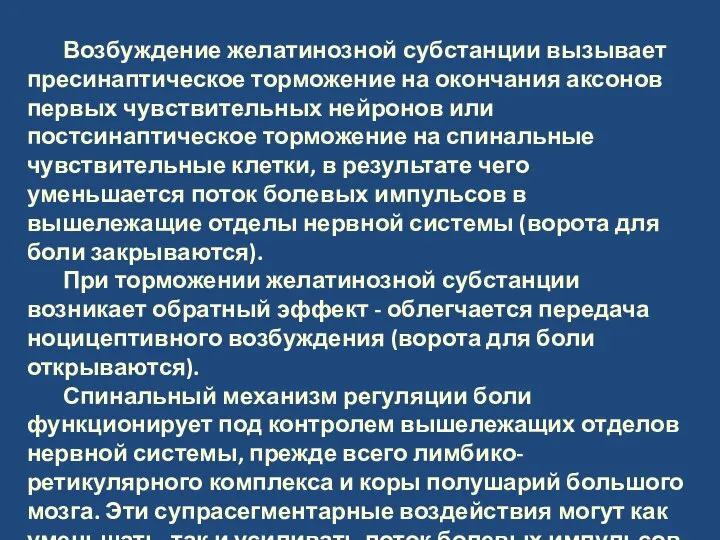 Возбуждение желатинозной субстанции вызывает пресинаптическое торможение на окончания аксонов первых чувствительных нейронов