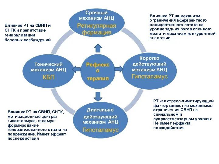 РТ как стресс-лимитирующий фактор влияет на механизмы ограничения СВНП на спинальном и
