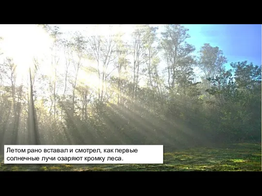 Летом рано вставал и смотрел, как первые солнечные лучи озаряют кромку леса.