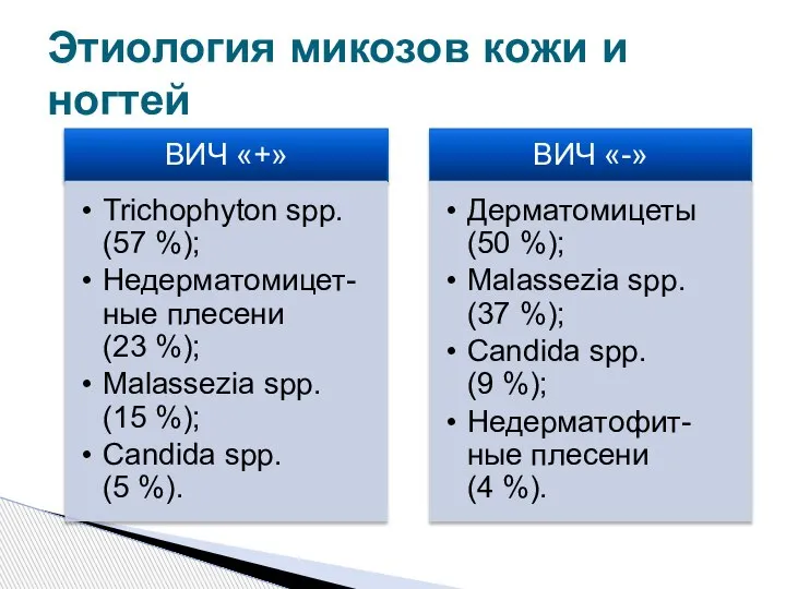 Этиология микозов кожи и ногтей