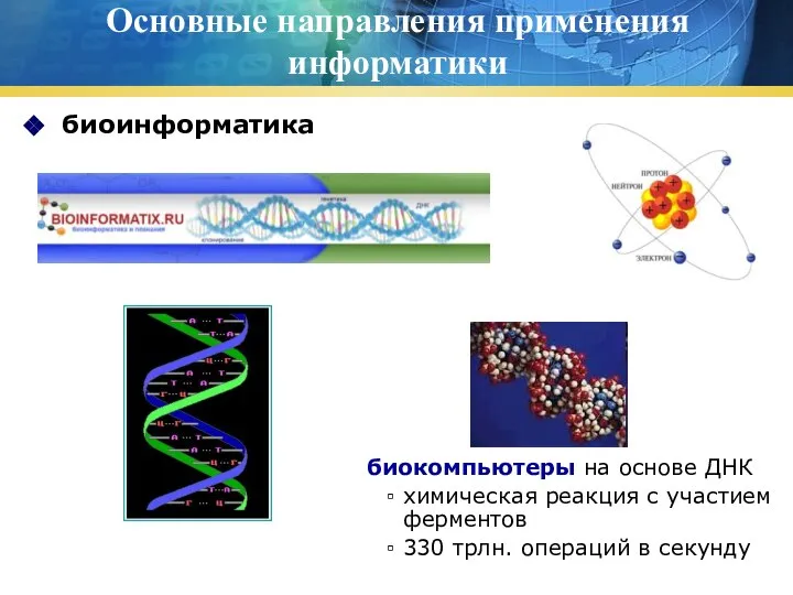 Основные направления применения информатики биоинформатика биокомпьютеры на основе ДНК химическая реакция с