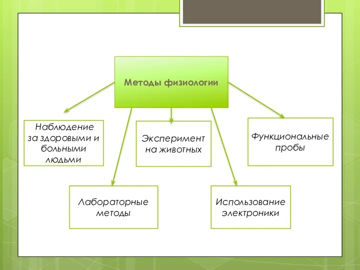 Методы физиологии Наблюдение за здоровыми и больными людьми Лабораторные методы Эксперимент на