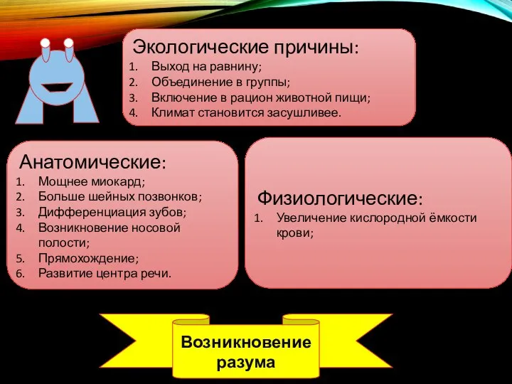 Экологические причины: Выход на равнину; Объединение в группы; Включение в рацион животной