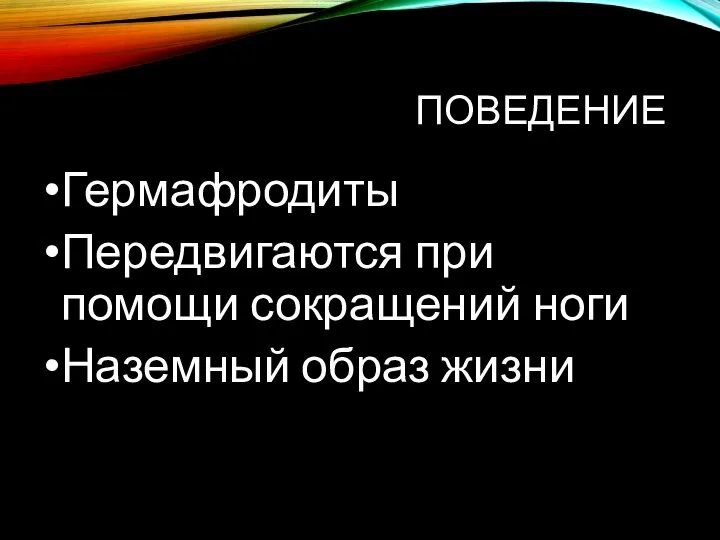 ПОВЕДЕНИЕ Гермафродиты Передвигаются при помощи сокращений ноги Наземный образ жизни