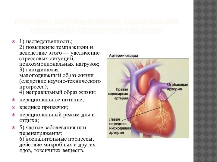 ПРИЧИНЫ ВОЗНИКНОВЕНИЯ ЗАБОЛЕВАНИЙ СЕРДЕЧНО-СОСУДИСТОЙ СИСТЕМЫ 1) наследственность; 2) повышение темпа жизни и