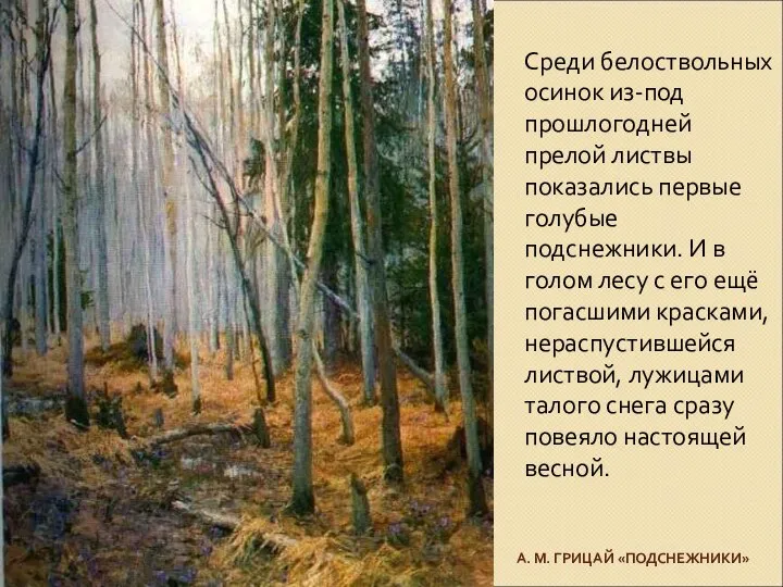 А. М. ГРИЦАЙ «ПОДСНЕЖНИКИ» Среди белоствольных осинок из-под прошлогодней прелой листвы показались