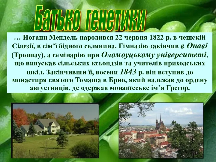 … Иоганн Мендель народився 22 червня 1822 р. в чешскій Сілезії, в