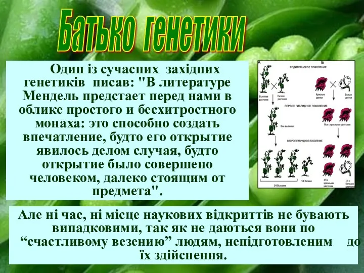 Батько генетики Один із сучасних західних генетиків писав: "В литературе Мендель предстает