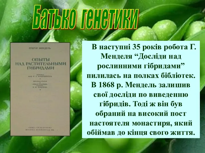 Батько генетики В наступні 35 років робота Г.Менделя “Досліди над рослинними гібридами”