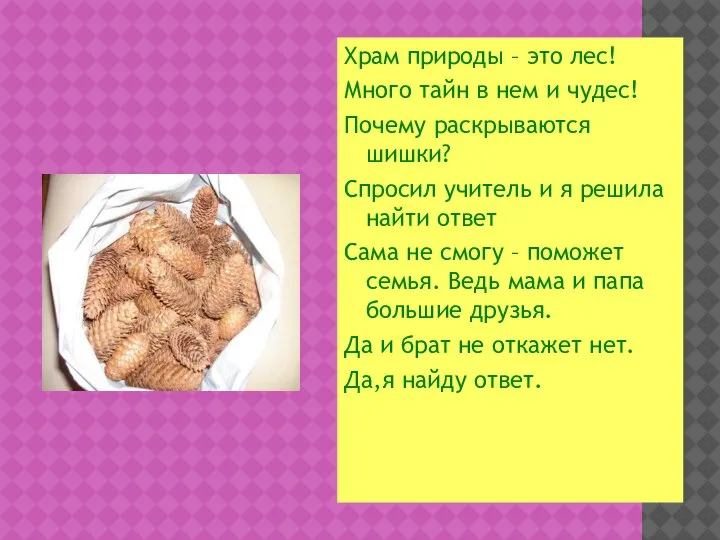 Храм природы – это лес! Много тайн в нем и чудес! Почему