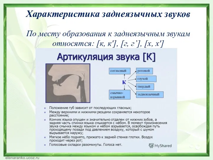 Характеристика заднеязычных звуков По месту образования к заднеязычным звукам относятся: [к, к'], [г, г’], [x, х']