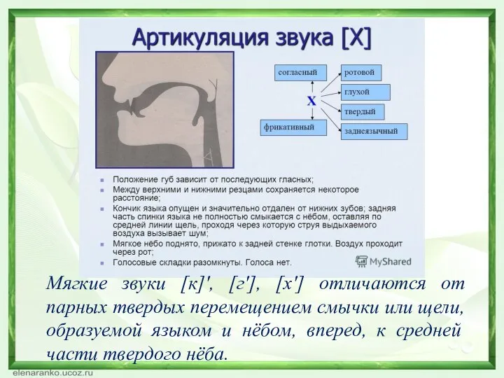 Мягкие звуки [к]', [г'], [х'] отличаются от парных твердых перемещением смычки или