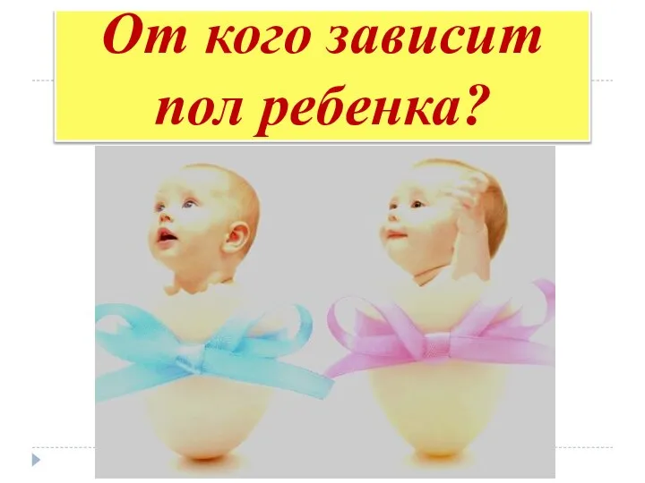 От кого зависит пол ребенка?