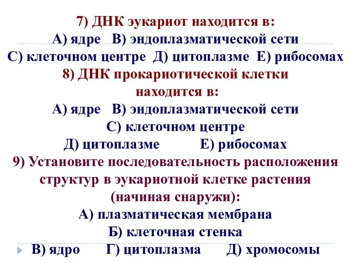 7) ДНК эукариот находится в: А) ядре В) эндоплазматической сети С) клеточном