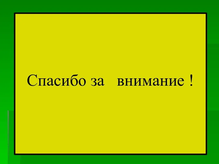 Спасибо за внимание !