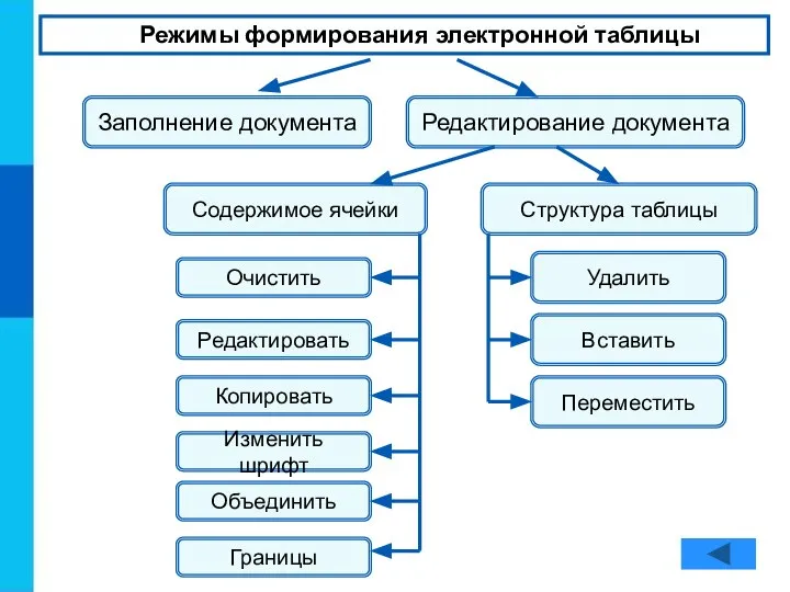 Режимы формирования электронной таблицы Заполнение документа Редактирование документа Содержимое ячейки Структура таблицы