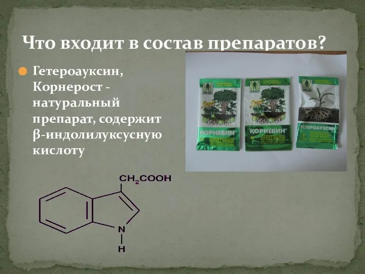 Что входит в состав препаратов? Гетероауксин, Корнерост - натуральный препарат, содержит β-индолилуксусную кислоту