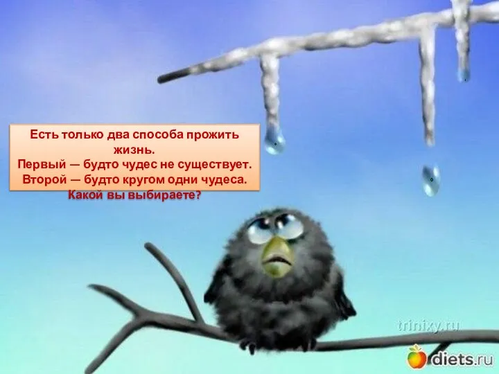 Есть только два способа прожить жизнь. Первый — будто чудес не существует.