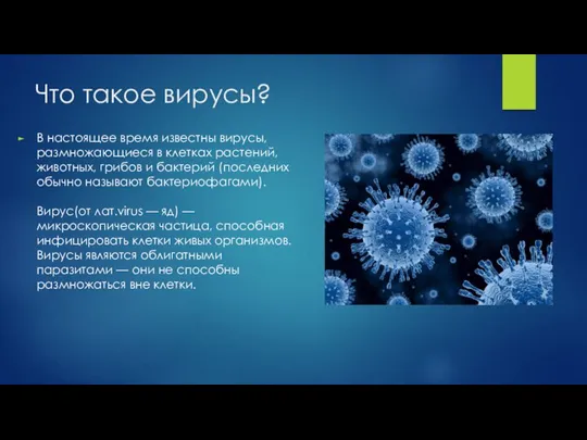 Что такое вирусы? В настоящее время известны вирусы, размножающиеся в клетках растений,