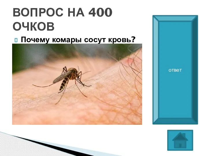 Почему комары сосут кровь? ВОПРОС НА 400 ОЧКОВ самцы совсем не кровожадны