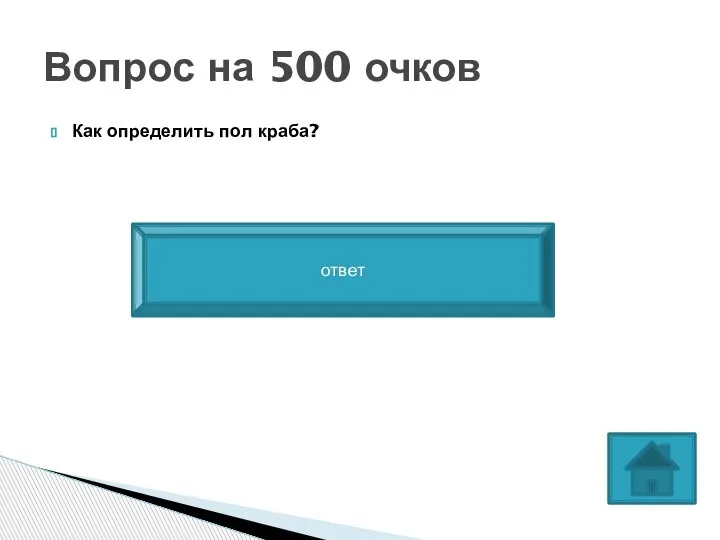 Как определить пол краба? Вопрос на 500 очков У самки подбрюшье большое